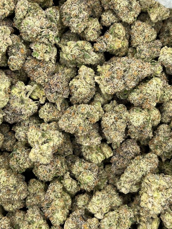 Blue Nerds