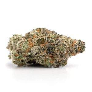 LA Gelato