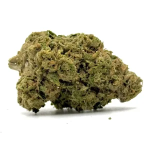 Key Lime Pie