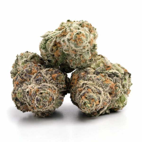 LA Gelato