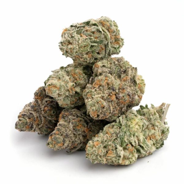 LA Gelato