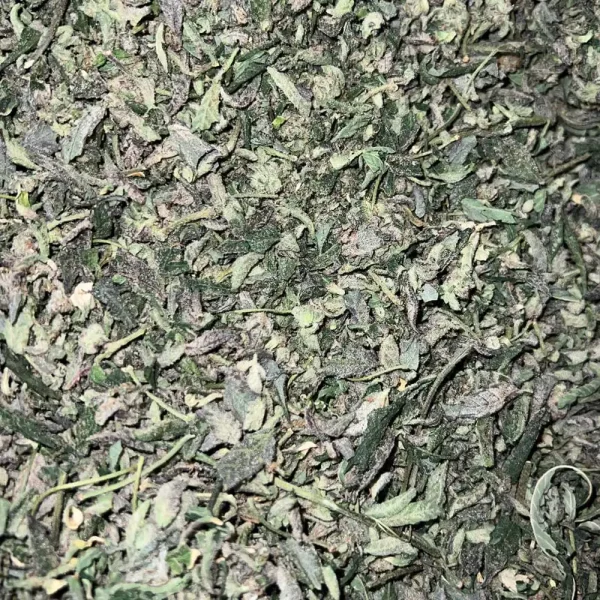 Top Shelf Shake - Mixed Hybrid