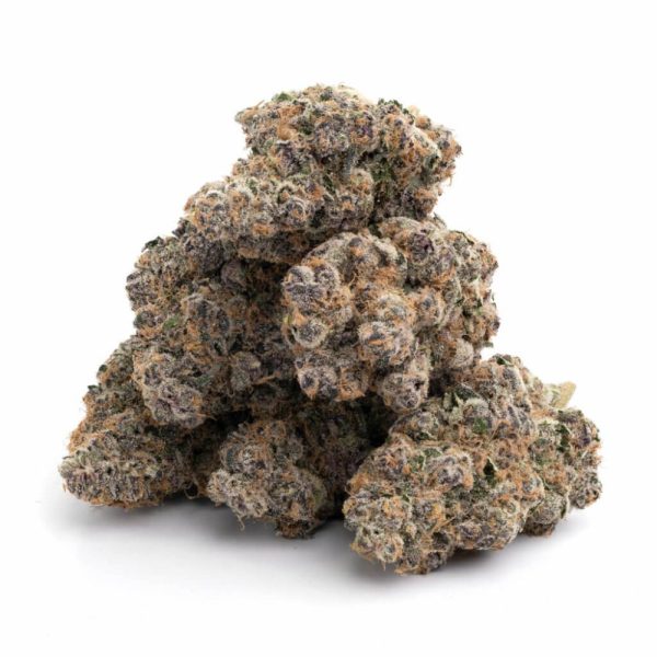 Mendocino Purps