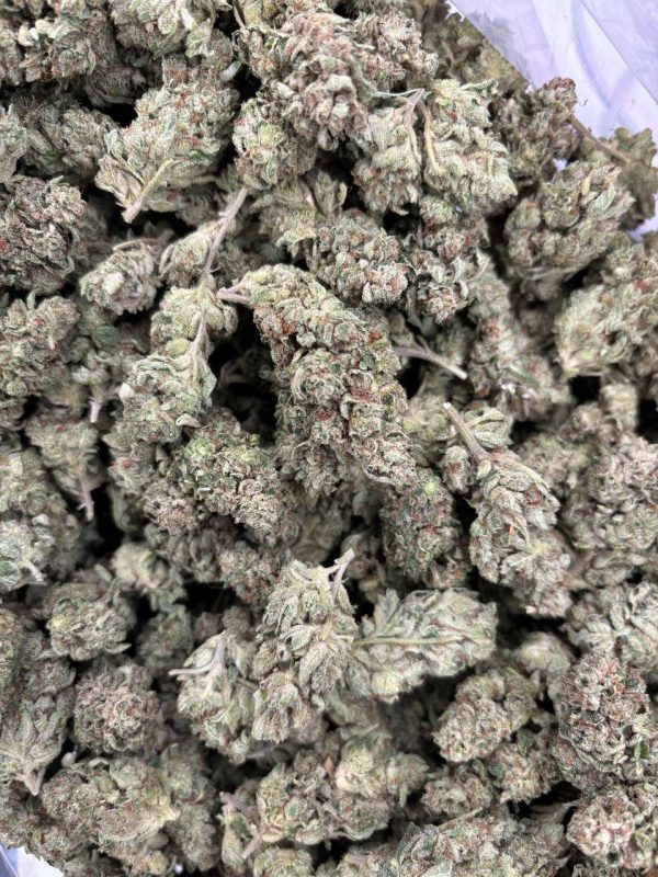 Gorilla Glue #4