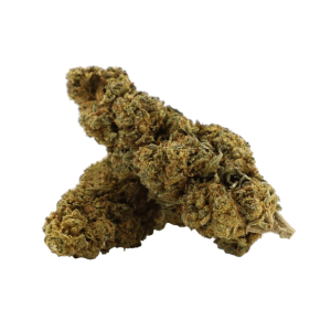 Tropical Haze